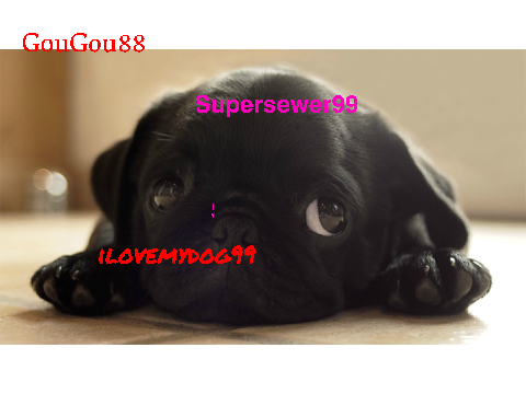 Sign Here If You Like Pugs remix remix