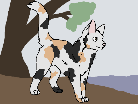 Fourclans RP Robinkit of Riverclan
