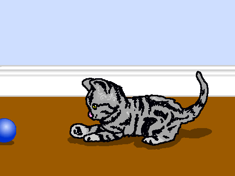 Kitten and Ball
