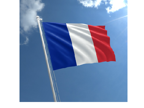 Congratulations by post malone ( French version)