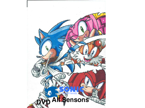 Sonic & Friends All Sensons DVD Poster