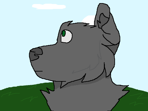 Animation Cycle