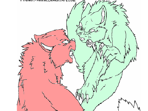 wolf fight cc