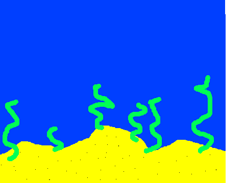 Shark Attack!