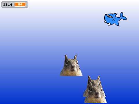 tanay5-shark