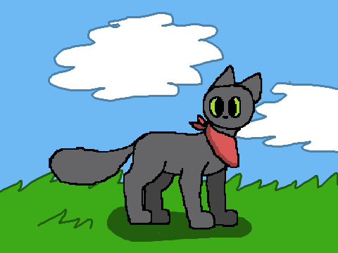 Cat Animation