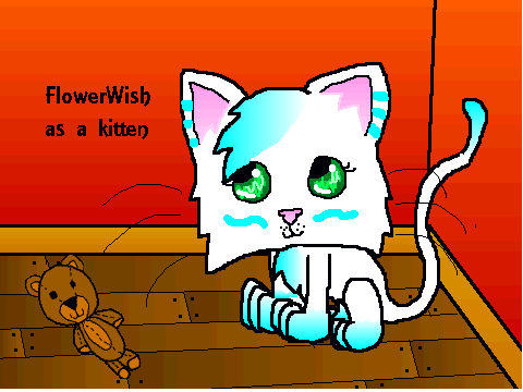FlowerWish as a Kitten