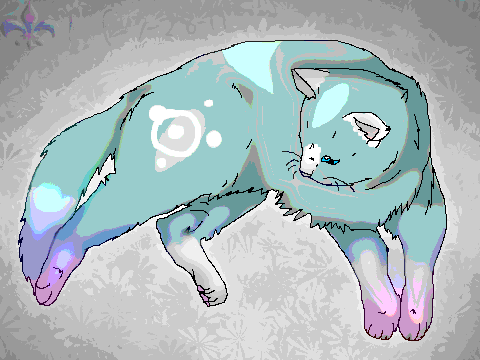 CAT COLORING CONTEST~