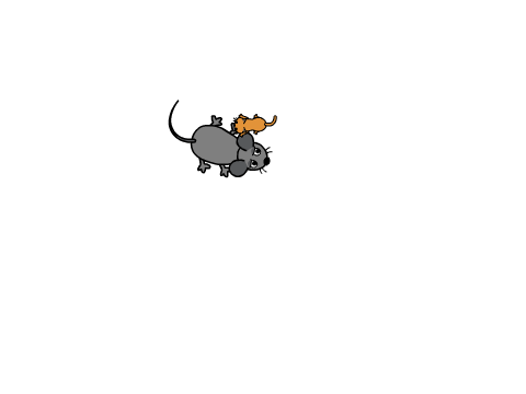 Game Of Mouse and Cat By jam-05000