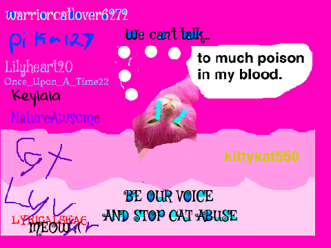 Sign here to stop cat abuse! LyricalSea6 remix