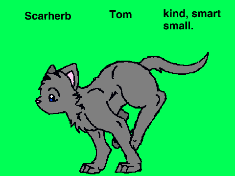 Scarherb Of Stormclan