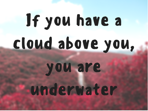 Shower Thought #51