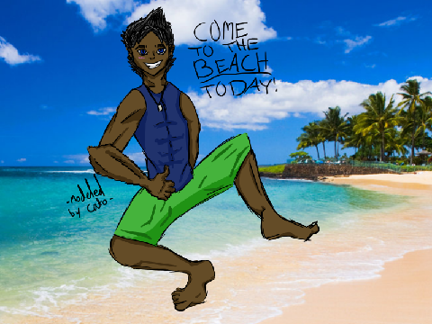 The Beach