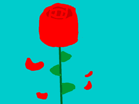 Rose of love...