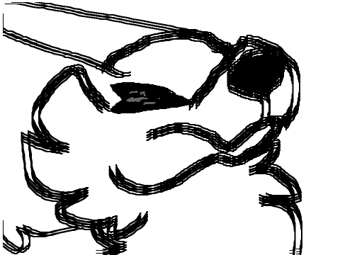 springy looking dog