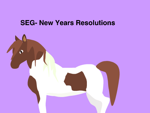 SEG-New Years Resolutions