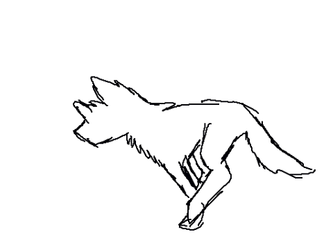 Wolf with a limp XD