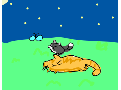 AT With @halpinm3