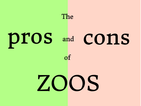 Pros and Cons of Zoos