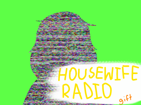 Housewife Radio Gift