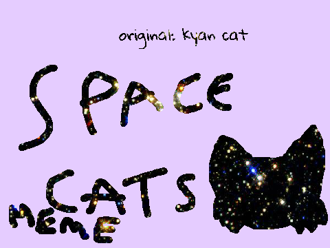 Space Cats Meme