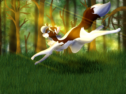 ~ Run ~