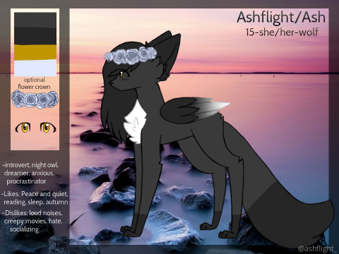 New Main OC