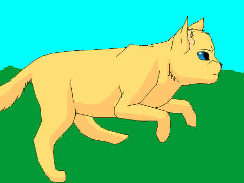 Running Cat