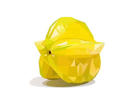  Starfruit Polyart ~ Polyart Contest: Round 1