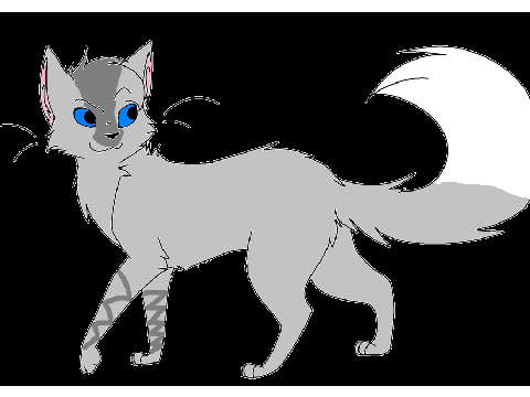 My Cat OC