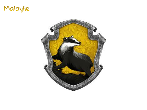 Sign On Your Hogwarts House remix