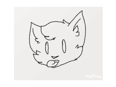 Noot years animation
