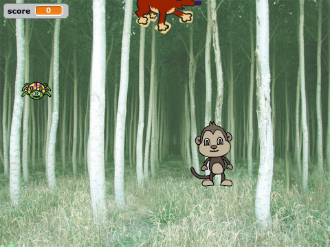 hide and seek