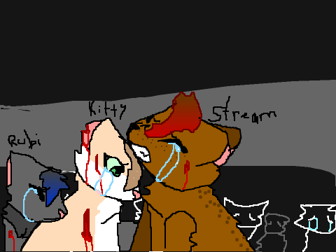 To Kitty