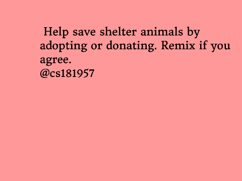 Shelter Animals, Remix if You Agree