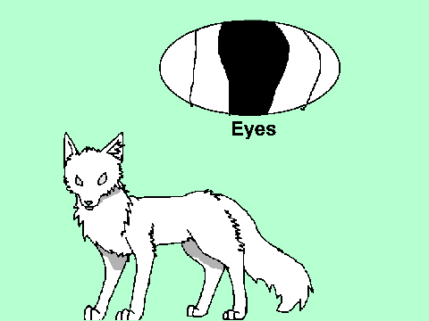 Fox Bio For The Kits