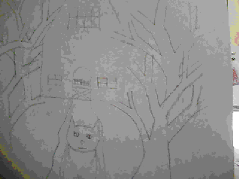 A Random Cat Drawing