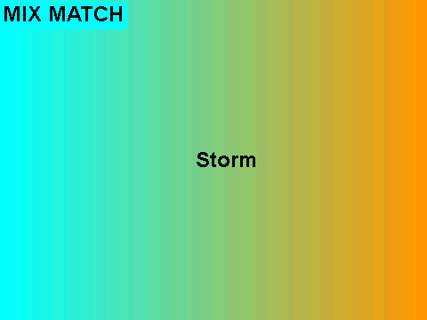 MIX MATCH Wizard101