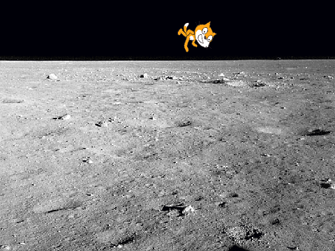 Moon Cat