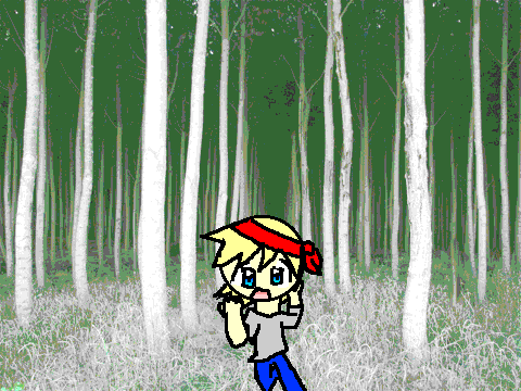 dark forest
