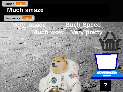 doge in space