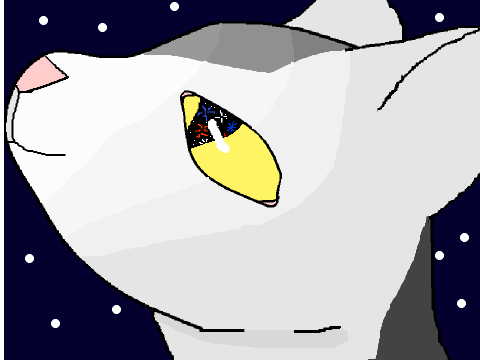  50 followers DTT Entry!