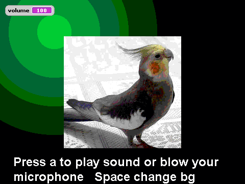 The talking cockatiel