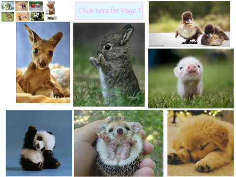 Adopt an Animal! ~adoption centre~