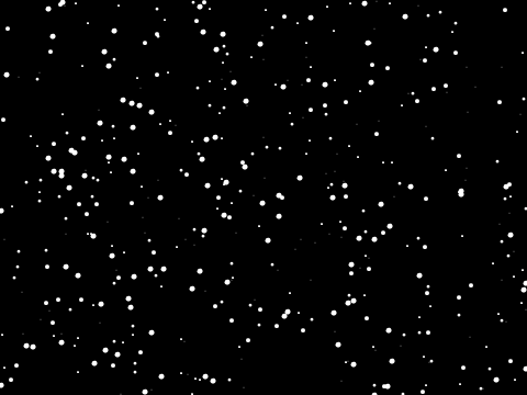 Space Simulator