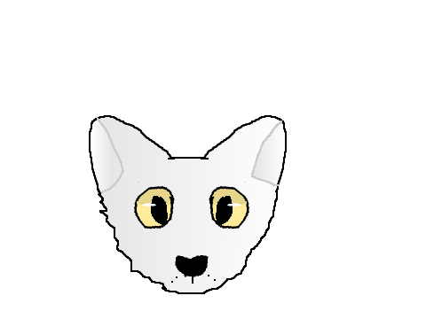 wolf head for @RainbowWarrierWolf
