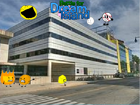 BFDI intro and 2014 the Medic