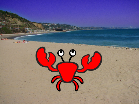 Animation Starter Project - Crab remix