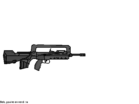 FAMAS Simulator