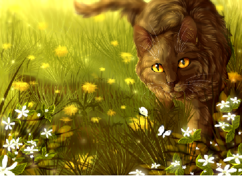 Warrior Cats Name Generator